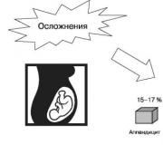 Oblik trbuha trudnice
